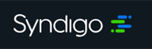 Syndigo LLC